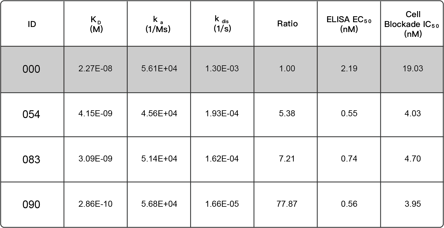 案例 2：单抗亲和力提升77倍，兼顾功能与稳定性